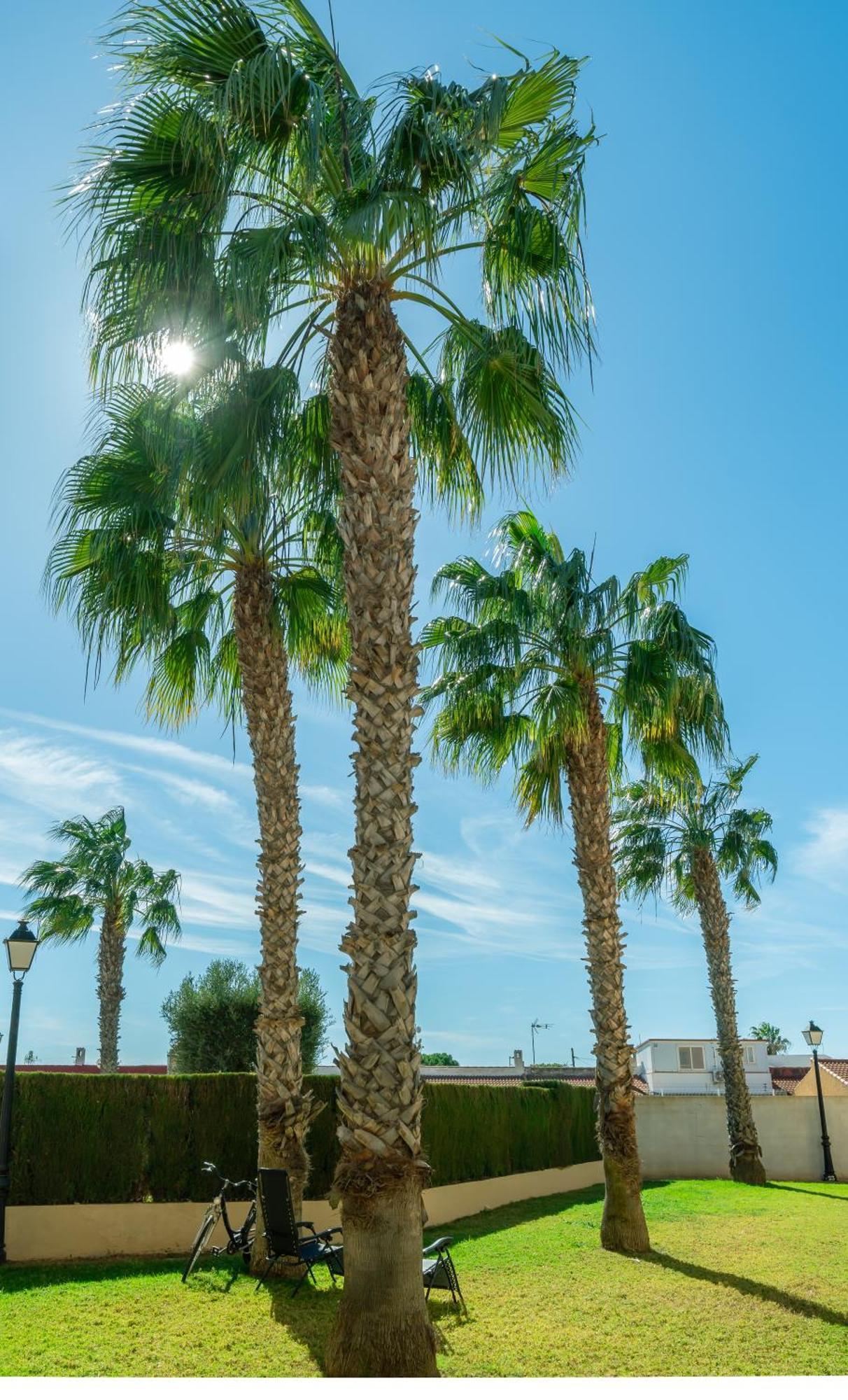 Club Salino Hideaway-Your Peaceful Retreat With Pool In Torrevieja Extérieur photo